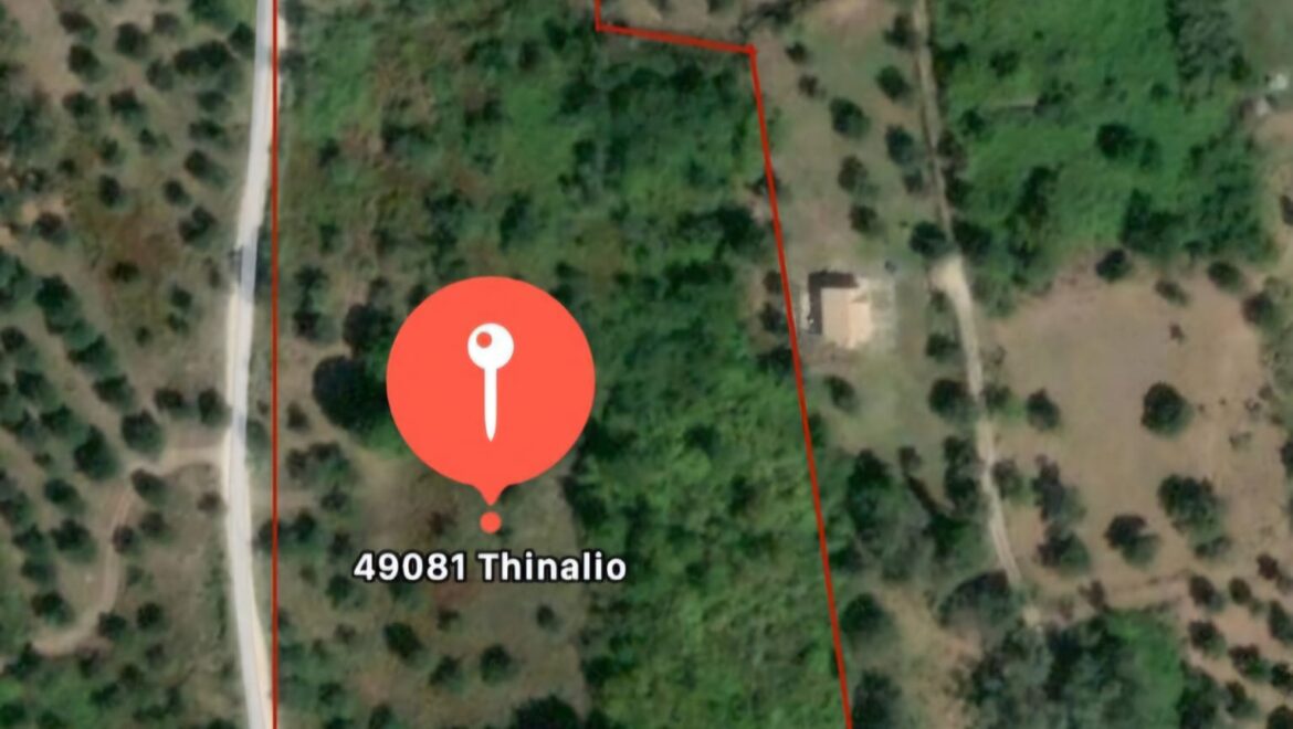 video image