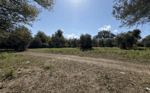 Investment Opportunity in Roda’s Touristic Area