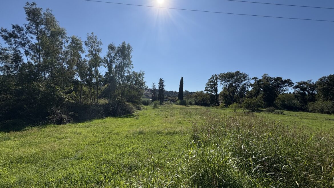 video image