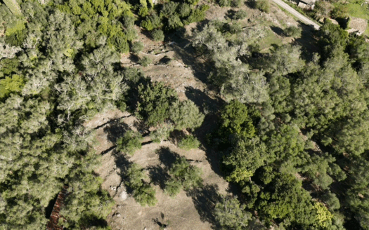 6,052 m² Buildable Land with Panoramic Vistas