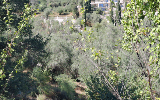 Hillside Plot with 186m² Buildability in Sinies