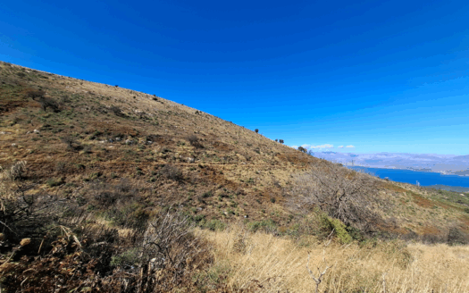 10,000m² Sea-View Plot in Megoulas, Sinies