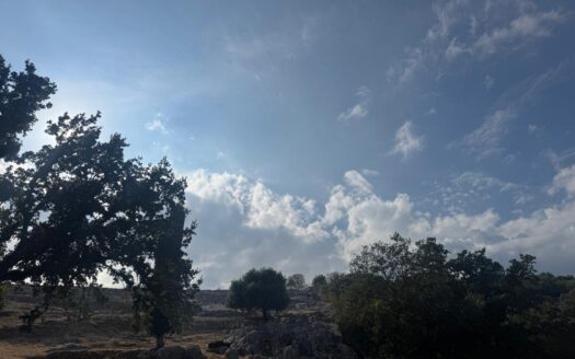 7,500m² Buildable Plot with Sea Views in Porta