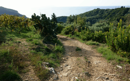 Spring layers packed for a hiking trip in Corfu