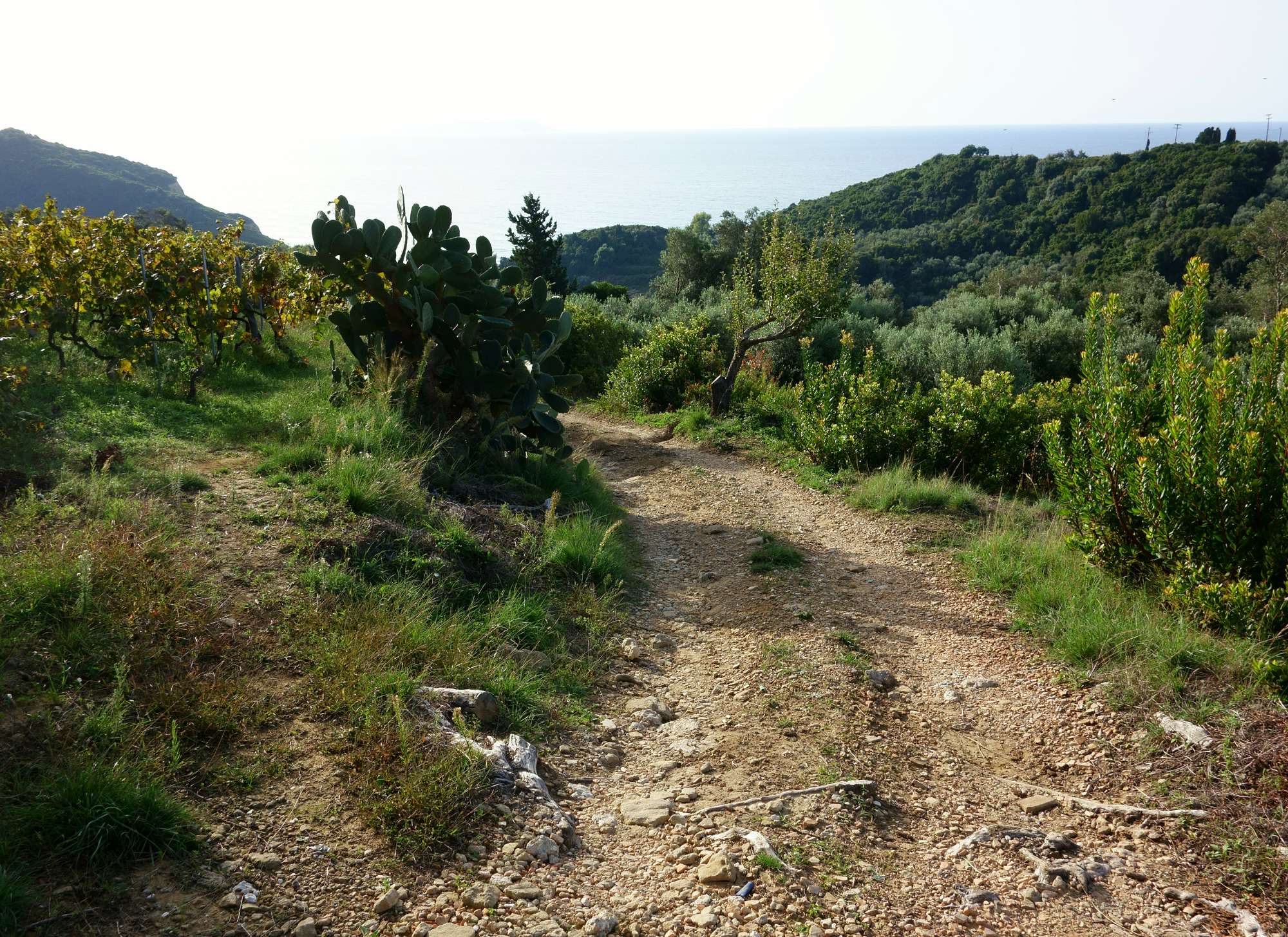 Spring layers packed for a hiking trip in Corfu