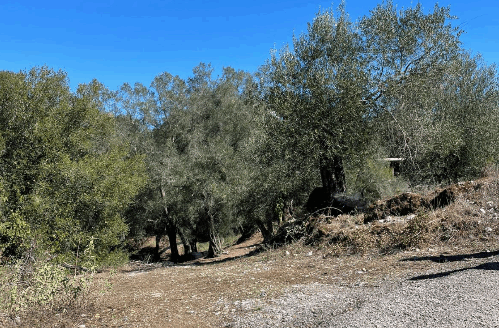 Exclusive Buildable Plot with Existing Permit and Sea View Potential