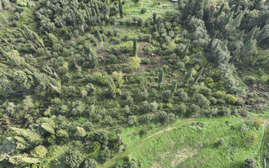 4,000 m² Private Sea-View Estate With Large Villa License – Kira Chrisikou, Corfu