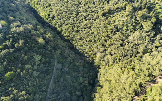 Elevated Sea-View Plot in Sinies Below the Main Road