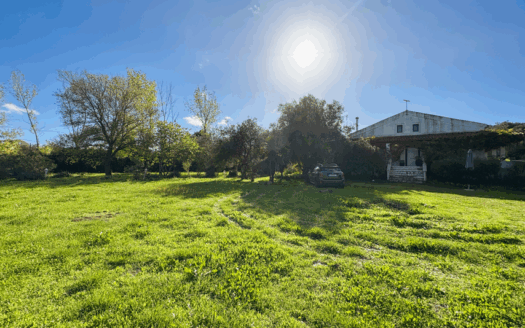 Agios Ioannis – Renovated 3-Bedroom Detached House on a 4,000 m² Plot