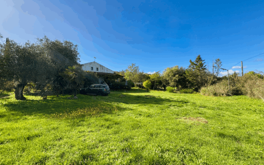 Agios Ioannis – Renovated 3-Bedroom Detached House on a 4,000 m² Plot