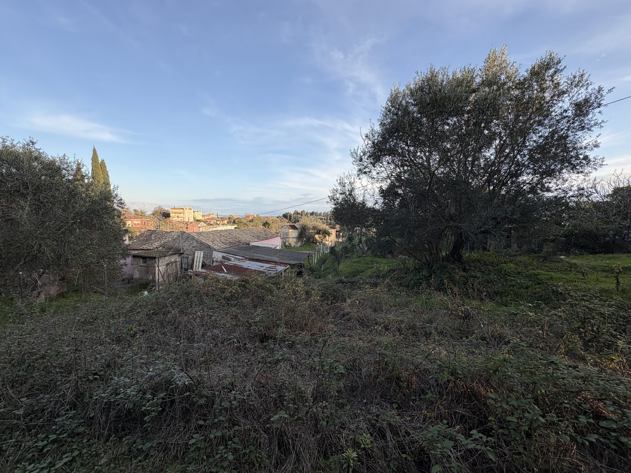 Buildable Plot with Olive Grove in Agios Andreas