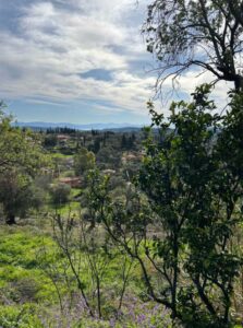 Buildable Plot for Sale in Doukades Village, Corfu 641m² with 400m² Build Allowance (1)