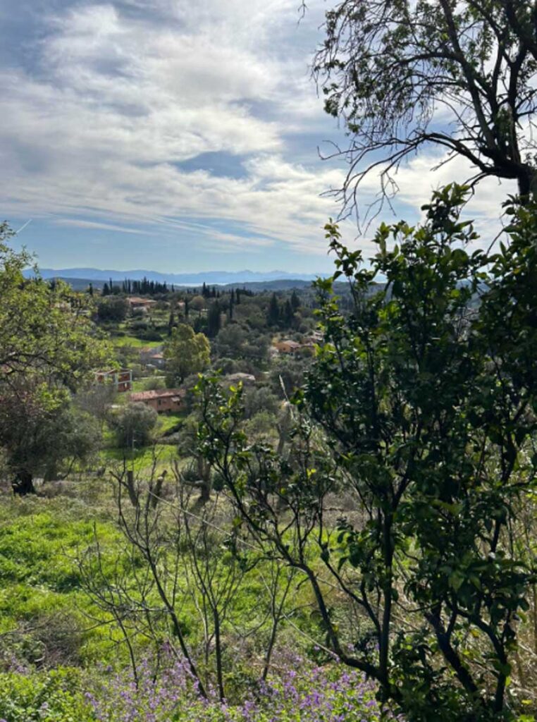 Buildable Plot for Sale in Doukades Village, Corfu 641m² with 400m² Build Allowance (1)