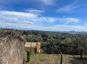 Buildable Plot for Sale in Doukades Village, Corfu 641m² with 400m² Build Allowance (6)