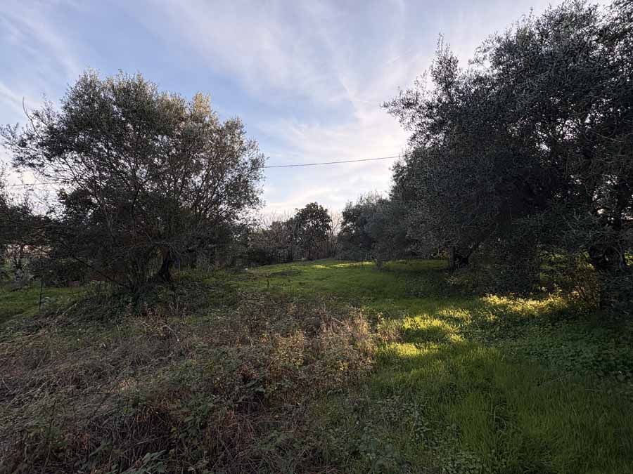 Listing photograph 10 of 10 of the land in Agios Andreas, published by Chase Real Estate Corfu.