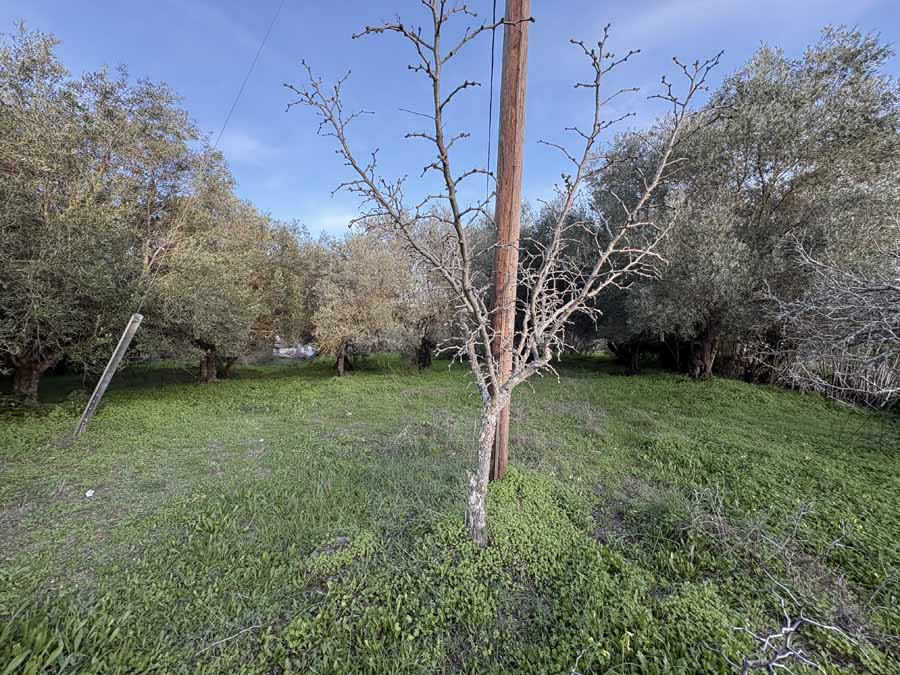 Listing photograph 6 of 10 of the land in Agios Andreas, published by Chase Real Estate Corfu.