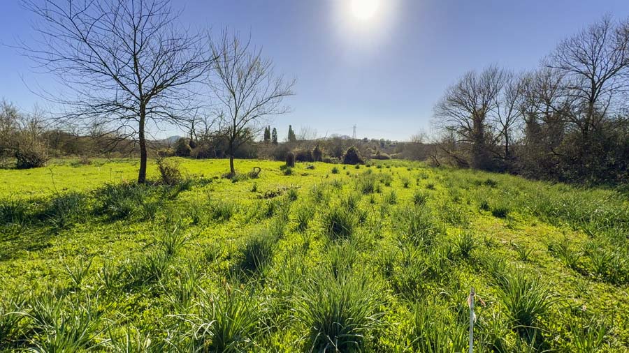 Listing photograph 9 of 24 of the land in Kira Chrisikou, published by Chase Real Estate Corfu.