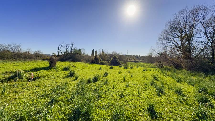 Listing photograph 10 of 24 of the land in Kira Chrisikou, published by Chase Real Estate Corfu.