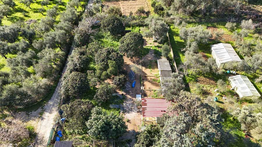 Listing photograph 3 of 56 of the house in Chalikounas, published by Chase Real Estate Corfu.