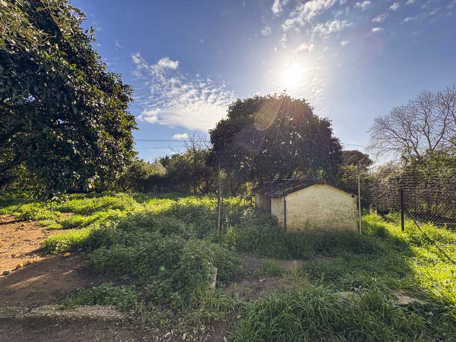 Listing photograph 25 of 56 of the house in Chalikounas, published by Chase Real Estate Corfu.