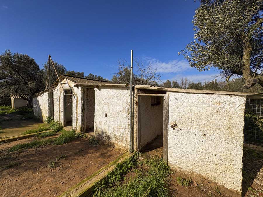 Listing photograph 31 of 56 of the house in Chalikounas, published by Chase Real Estate Corfu.