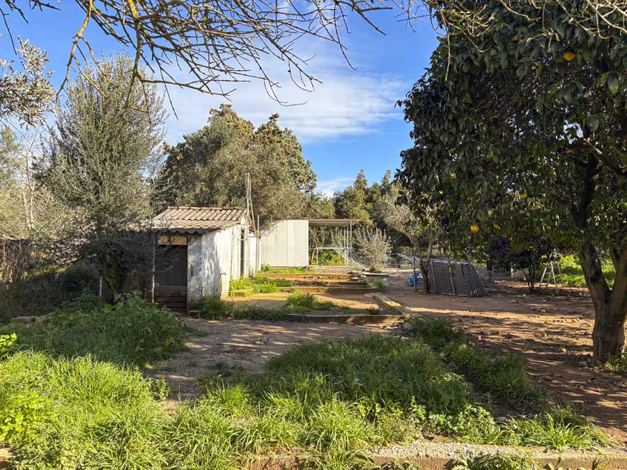 Listing photograph 10 of 56 of the house in Chalikounas, published by Chase Real Estate Corfu.