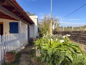 Detached House for Sale in Chalikounas, Corfu, 100m² on 1,000m² Plot with Sea Views (35)