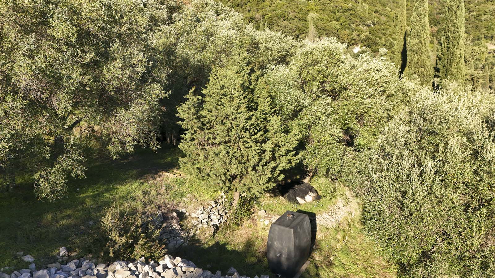 Listing photograph 8 of 28 of the land in Spartilas, published by Chase Real Estate Corfu.