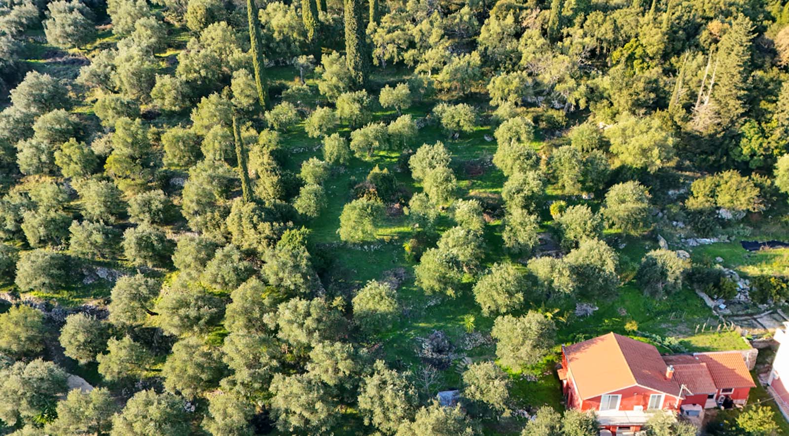 Listing photograph 3 of 28 of the land in Spartilas, published by Chase Real Estate Corfu.
