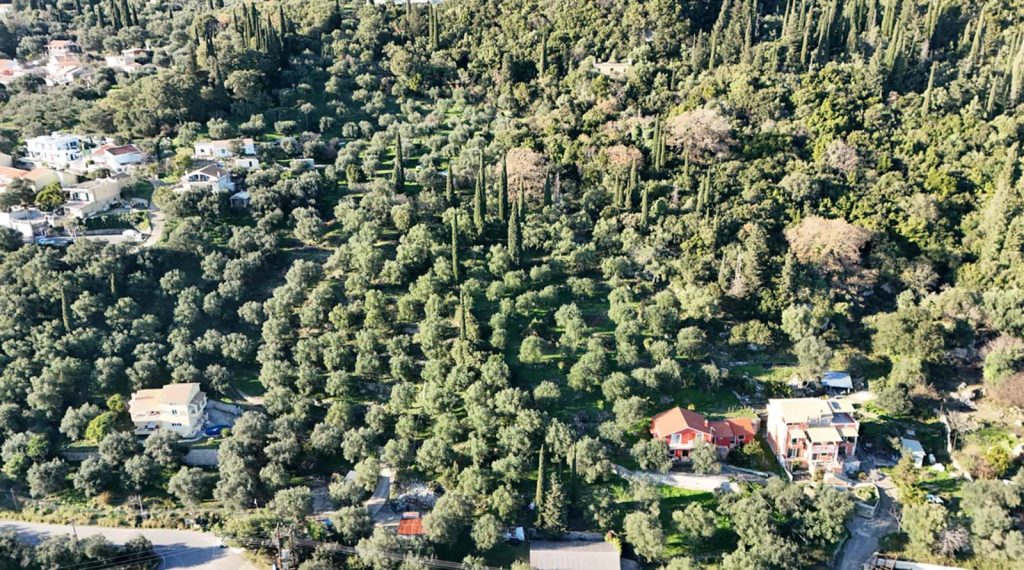 Elevated Buildable Plot for Sale near Spartilas, North Corfu 1,000m² with Sea and Mountain Views (12)