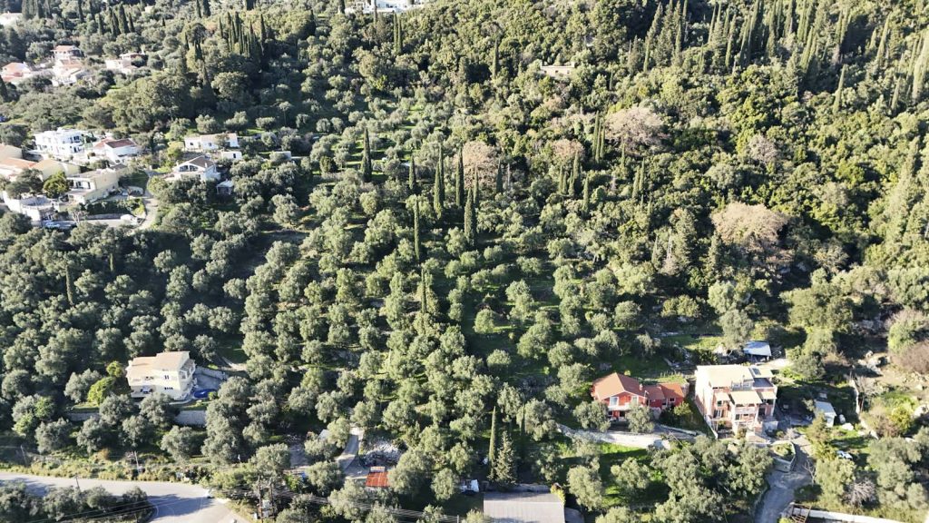 Elevated Buildable Plot for Sale near Spartilas, North Corfu 1,000m² with Sea and Mountain Views (19)