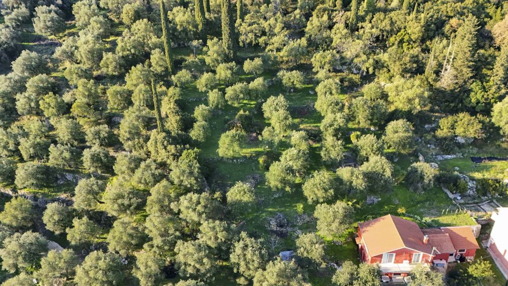 Elevated Buildable Plot for Sale near Spartilas, North Corfu 1,000m² with Sea and Mountain Views (25)