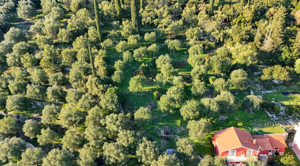 Elevated Buildable Plot for Sale near Spartilas, North Corfu 1,000m² with Sea and Mountain Views (6)