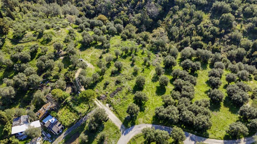 Listing photograph 10 of 18 of the land in Giannades, published by Chase Real Estate Corfu.