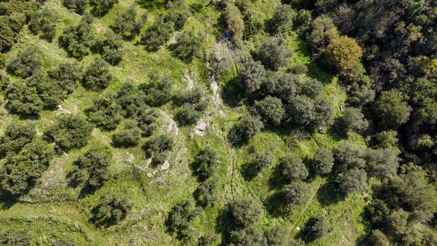 Listing photograph 16 of 18 of the land in Giannades, published by Chase Real Estate Corfu.