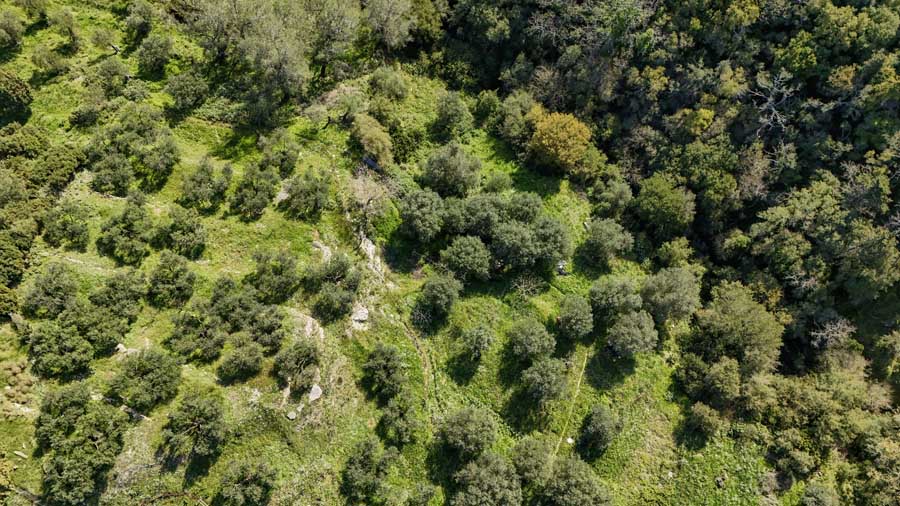 Listing photograph 17 of 18 of the land in Giannades, published by Chase Real Estate Corfu.