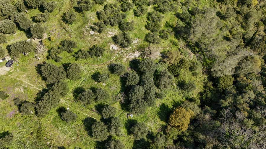 Listing photograph 14 of 18 of the land in Giannades, published by Chase Real Estate Corfu.