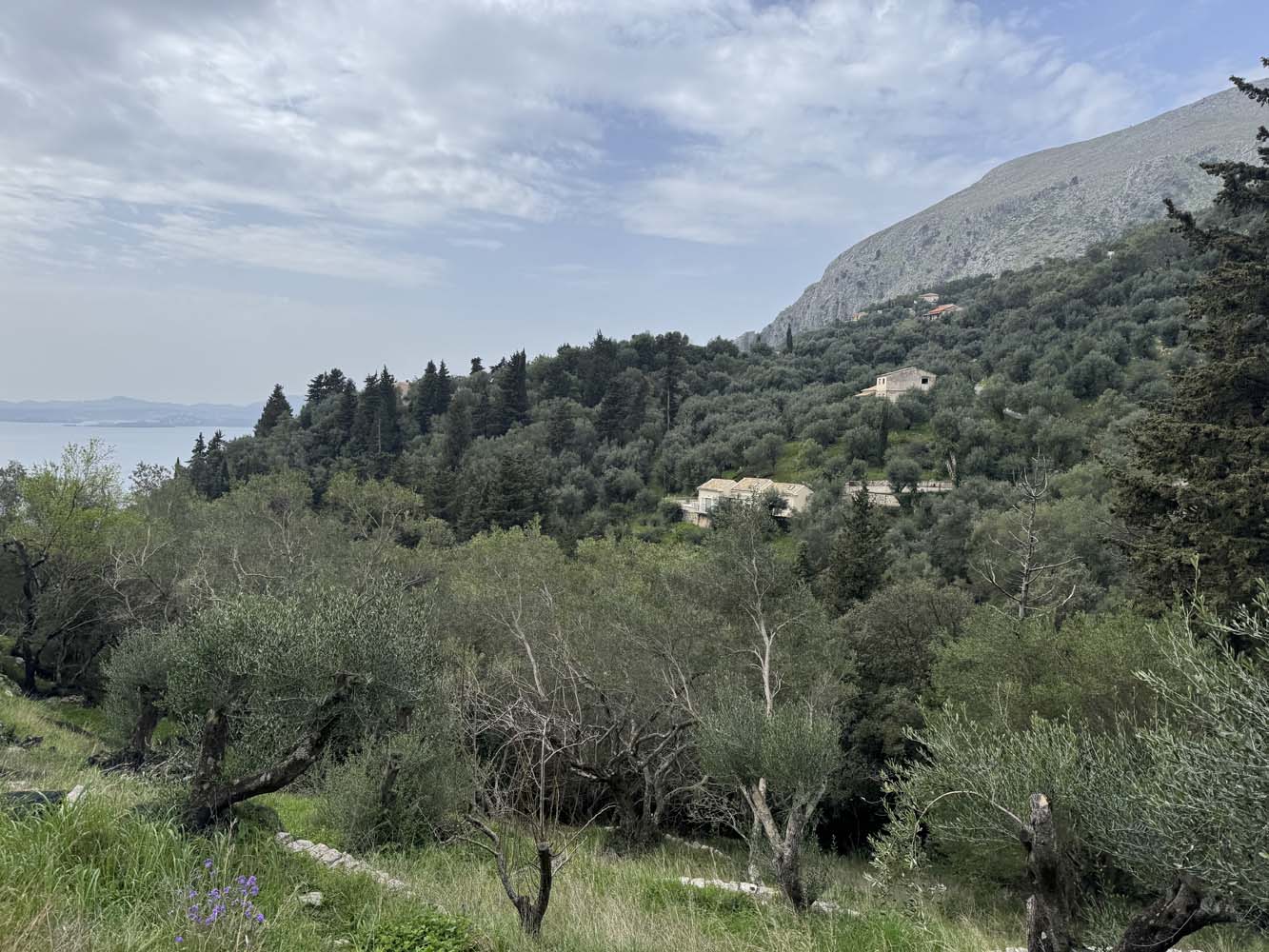 Listing photograph 2 of 10 of the land in Katavolos, published by Chase Real Estate Corfu.