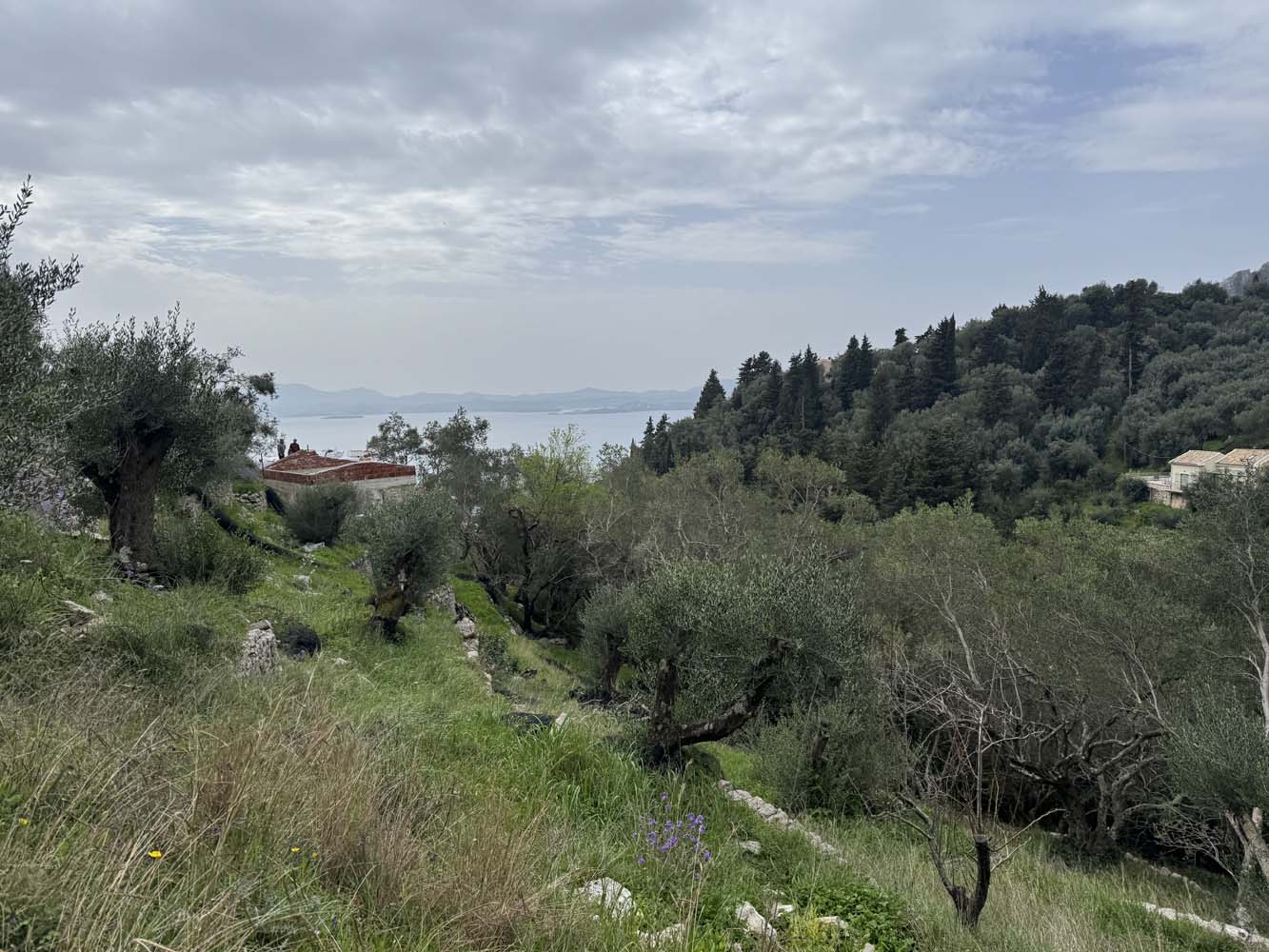 Listing photograph 1 of 10 of the land in Katavolos, published by Chase Real Estate Corfu.