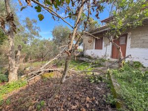 Traditional Stone Houses for Sale in Riglades, Lefkimi, South Corfu (23)