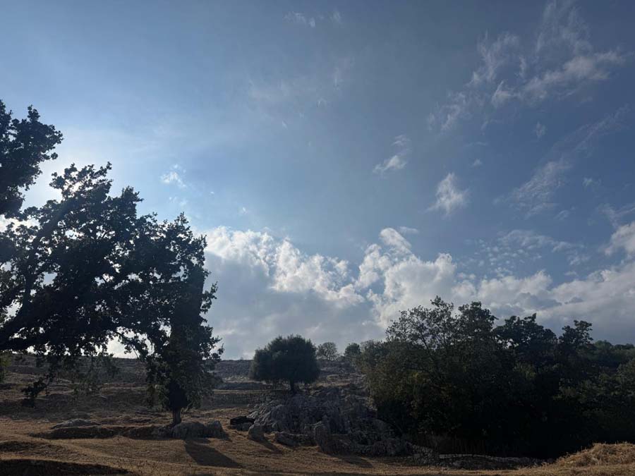 Listing photograph 1 of 1 of the land in Porta, published by Chase Real Estate Corfu.
