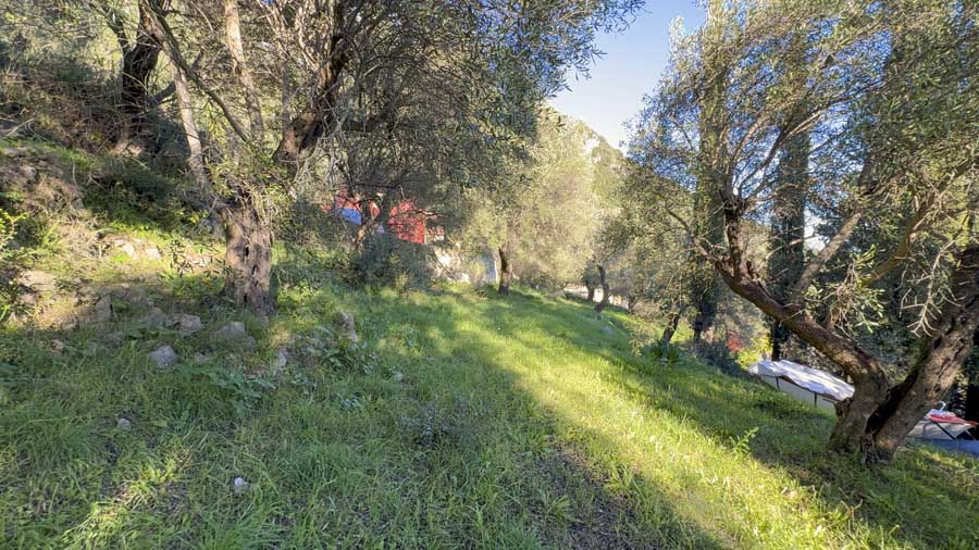 Listing photograph 11 of 14 of the land in Spartilas, published by Chase Real Estate Corfu.
