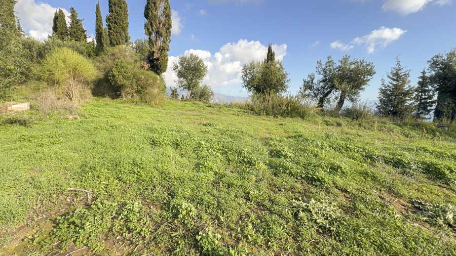 Listing photograph 25 of 25 of the land in Kira Chrisikou, published by Chase Real Estate Corfu.