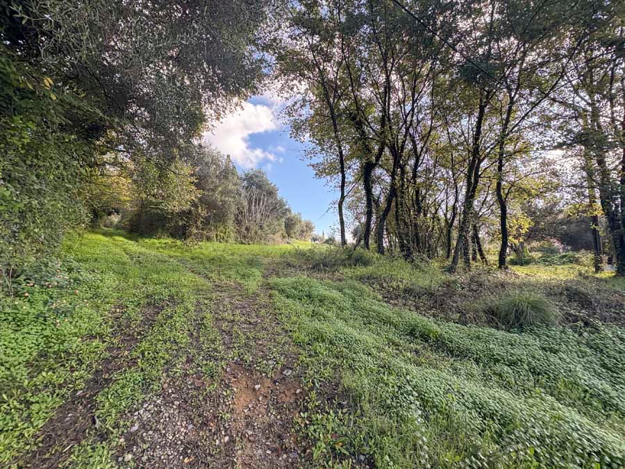 Listing photograph 15 of 25 of the land in Kira Chrisikou, published by Chase Real Estate Corfu.