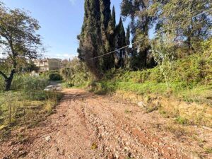 14,000m² Sea View Estate with 580m² Villa Licence for Sale in Kira Chrisikou, Corfu (1)