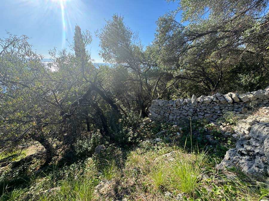 Listing photograph 7 of 8 of the land in Kaminaki, published by Chase Real Estate Corfu.