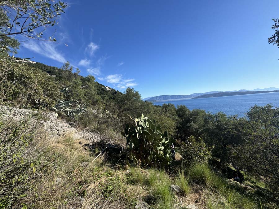 Listing photograph 8 of 8 of the land in Kaminaki, published by Chase Real Estate Corfu.