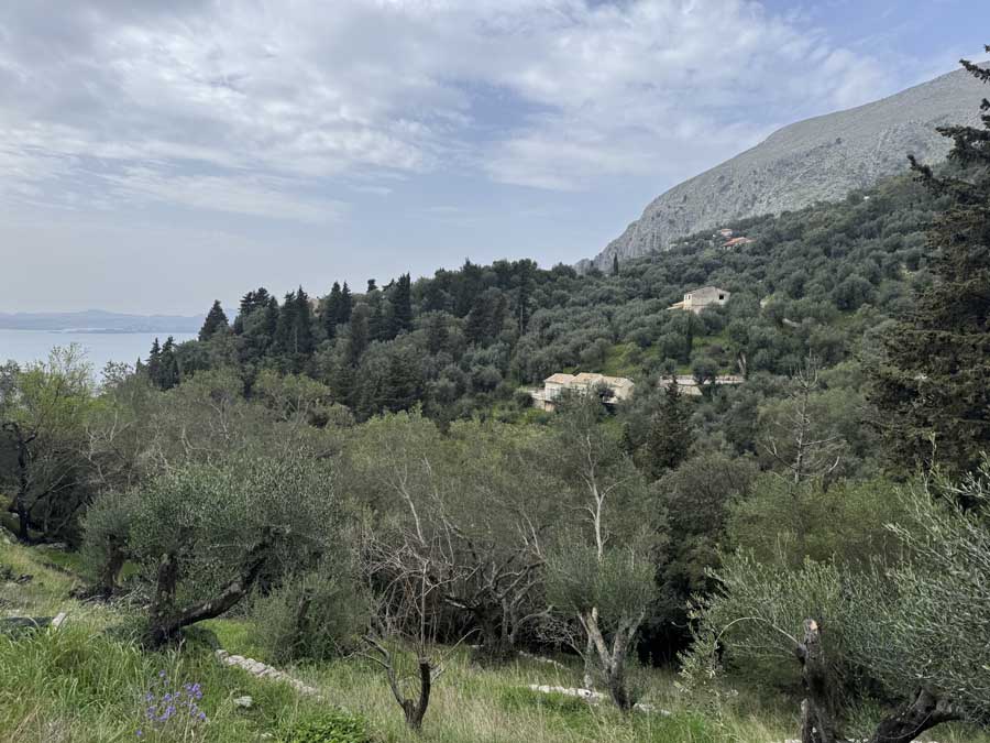 Listing photograph 2 of 5 of the land in Katavolos, published by Chase Real Estate Corfu.