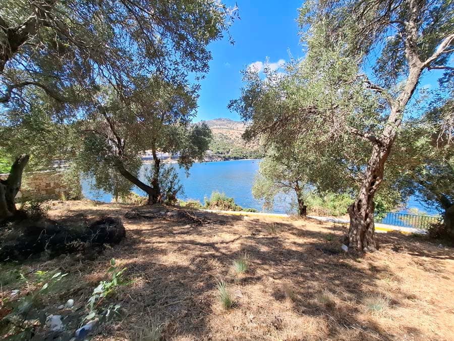 Listing photograph 8 of 9 of the land in Kassiopi, published by Chase Real Estate Corfu.
