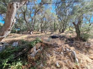 4,500m² Hillside Plot with 360° Sea Views for Sale in Kassiopi, North East Corfu (3)